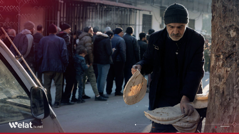 FAO: Suriye'de 7,2 milyon insan gıda güvensizliğiyle karşı karşıya