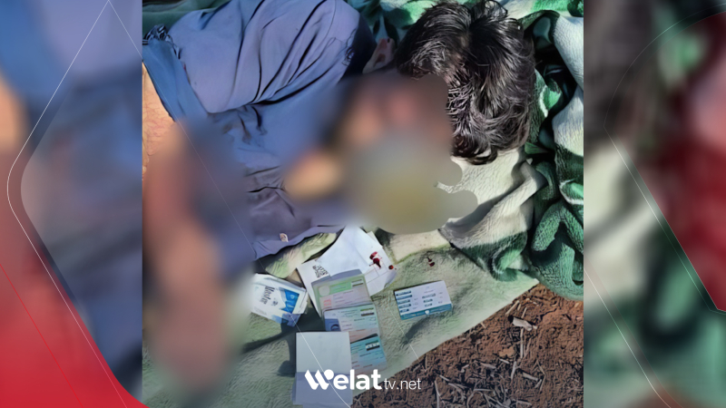 Termê welatiyekî li Efrînê hate dîtin 