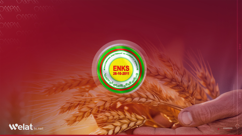 ENKS banga vegereke bilez li nirxê genim dike: Ne li gorî têçûnan e