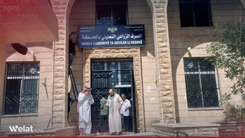 Agricultural Bank in Hasaka Begins Distributing Wheat Payment Vouchers to Farmers
