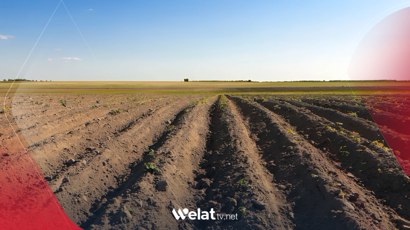 Welat TV Reports Worsening Agricultural and Living Conditions Amid Lack of Solutions in Syrian Kurdistan