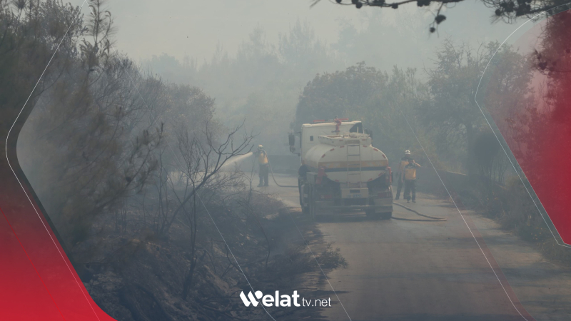 4 roj in agir li daristanên Laziqiyê vêketî ye  