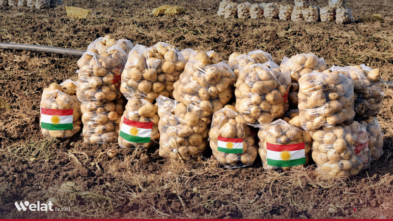 Kurdistan Region Exports 120,000 Tons of Agricultural Produce
