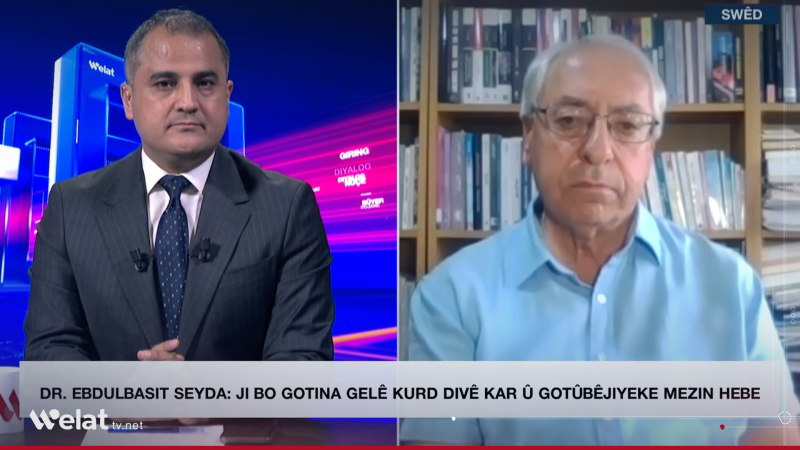 Abdulbasit Seyda: Kürtlerin parlamentoya katılımı, siyasi varlıklarını güçlendiriyor
