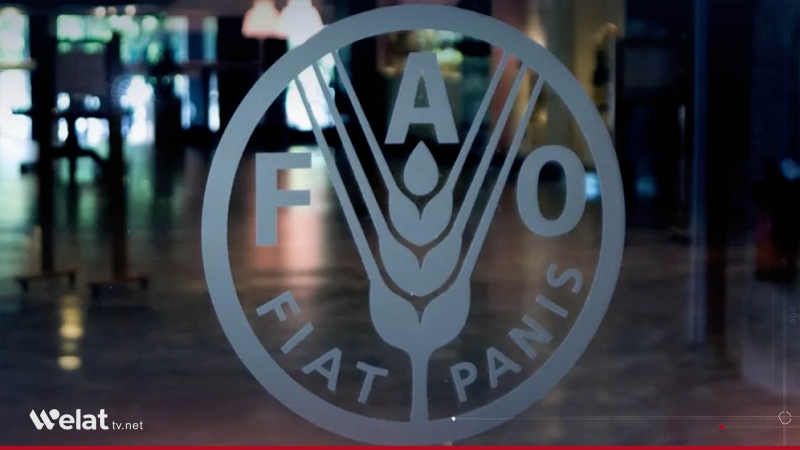 FAO Launches $5 Million Project to Support Food Security in Northeast Syria