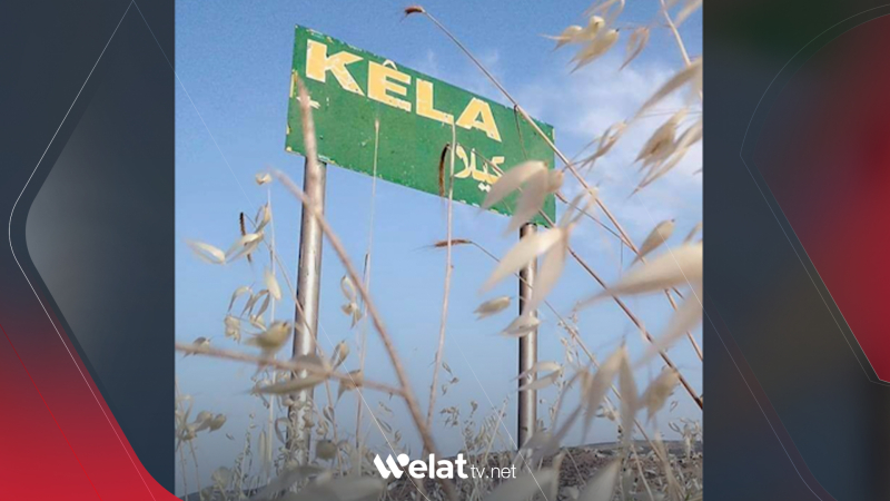 Li 3 gundên Efrînê 3 dolarên Emerîkî li ser her dareke zeytûnan hatin sepandin