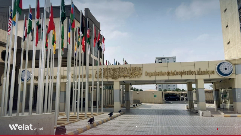 COMCEC 41st Session Discusses Reconstruction and Investment Promotion in Syria