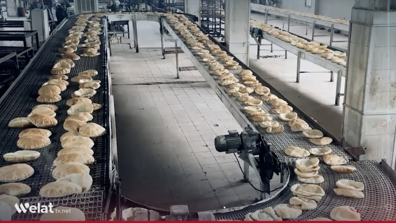 Syrian Economy Ministry Reveals Wheat Reserves, Bread Subsidies, and Bakery Development Plans