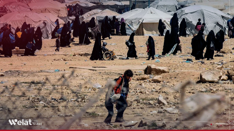 The Guardian: Disintegration of Al-Hol Camp Raises Fears of Rising Extremism