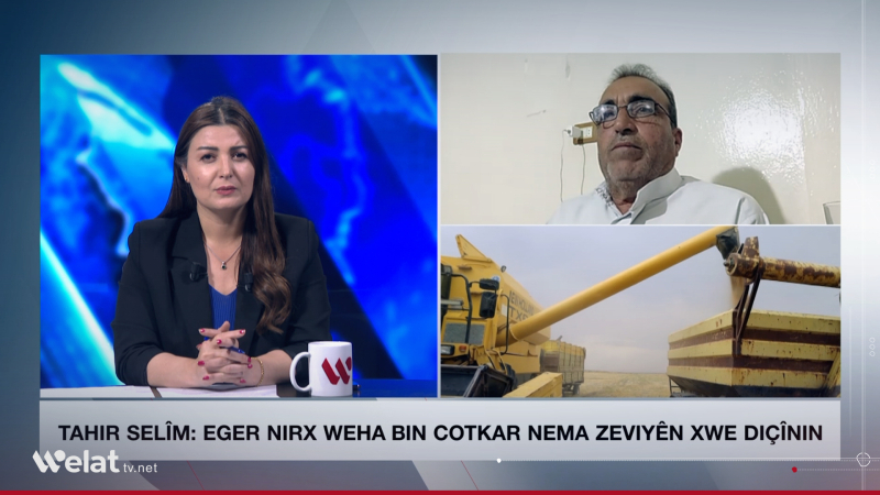A Farmer from Hasaka to “Welat TV”: This Year’s Wheat Pricing Is Unfair