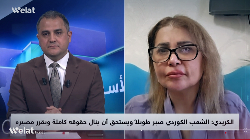 Suriyeli siyasetçi Mays el-Kreydi: Suriye'yi korumanın en iyi yolu federasyondur
