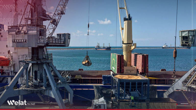 Cargo Ship from Argentina Delivers Feed Materials to Latakia Port 