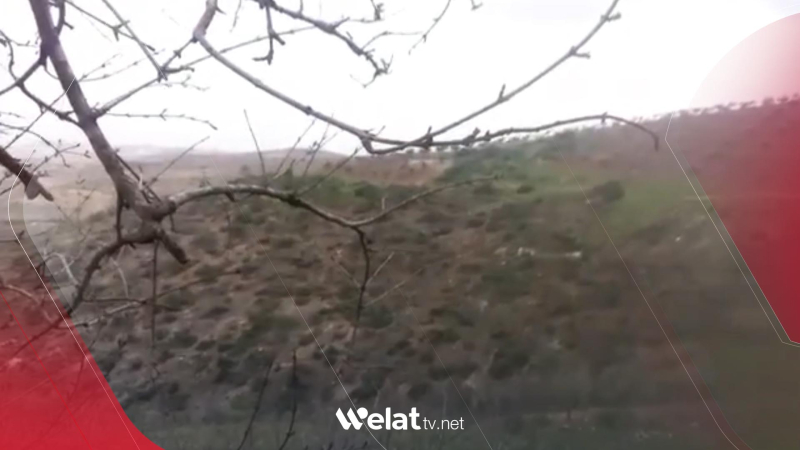 Şêxo: Çekdarên Emşat 2000 dar li Mabeta birîne 