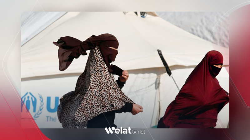 Kampa Hol.. 175 malbatên DAIŞê derketin