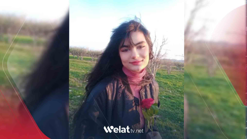Efrîn.. Dixwest wêneyekê bigire lê binav bû û jiyana xwe ji dest da 