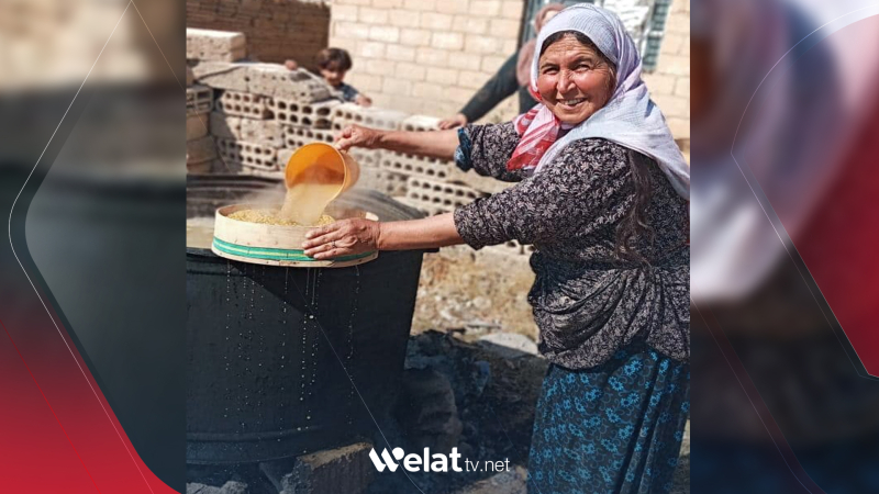 Rojavayê Kurdistanê..  Werzê çêkirina Danûkan e