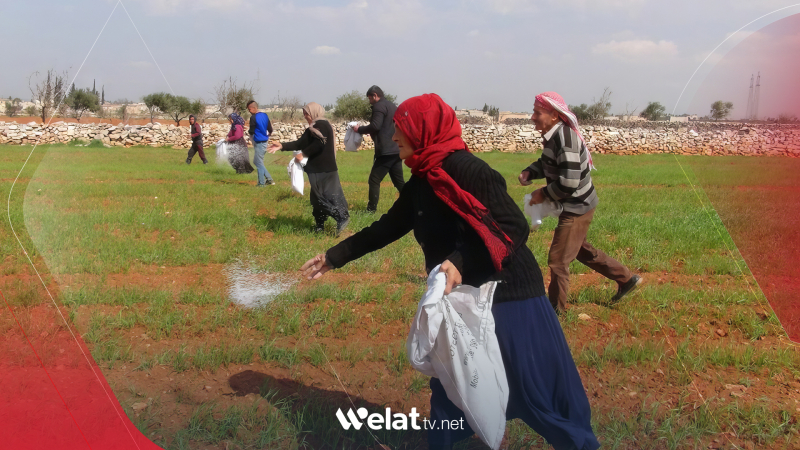 Di mehekê de.. Rêjîma Sûriyê bo cara duyem nirxê semadê bilind kir