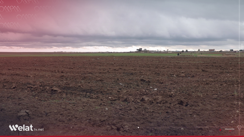 Qamişlo.. Cotkar Ji ber tovê xerab bigazin in û daxwaza qerebokirinê dikin