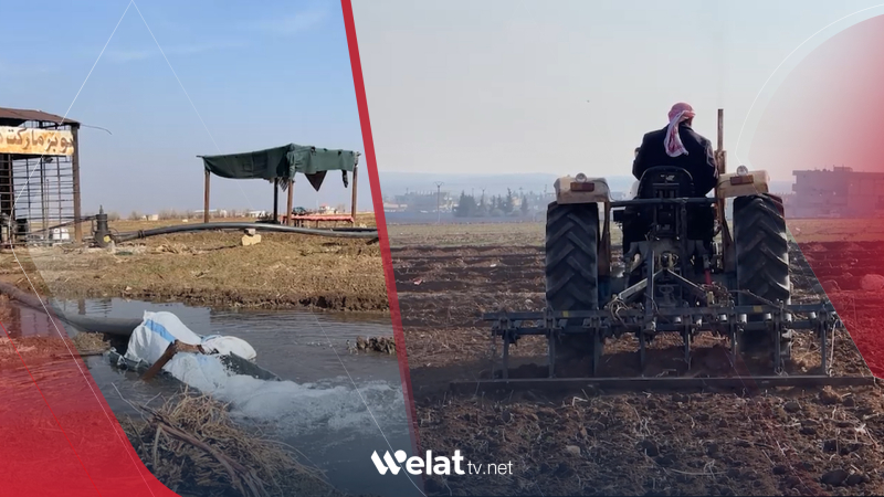 Ji ber nehatina baranê û gefan.. Gelek zeviyên Kobaniyê nehatine çandin