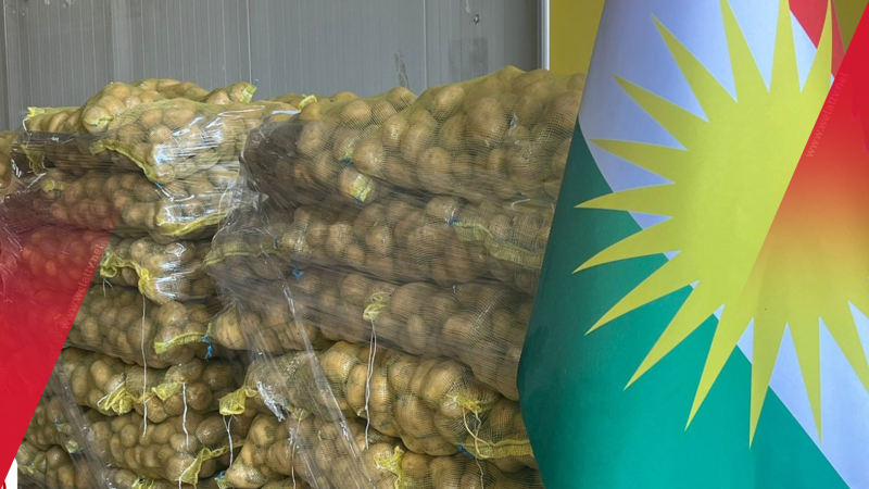 Kürdistan Bölgesi ihracatında yeni rota: 250 ton patates Suudi Arabistan'a gidiyor