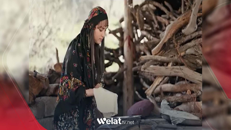 Hunermendê kurd Hesen Şerîf klîpa 